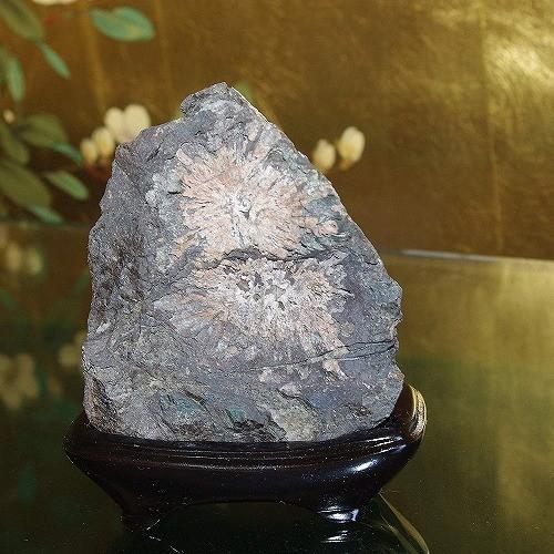 根尾菊花石 ミニ 【公式通販】