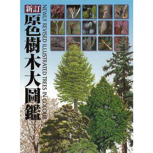 原色樹木大圖鑑　新訂