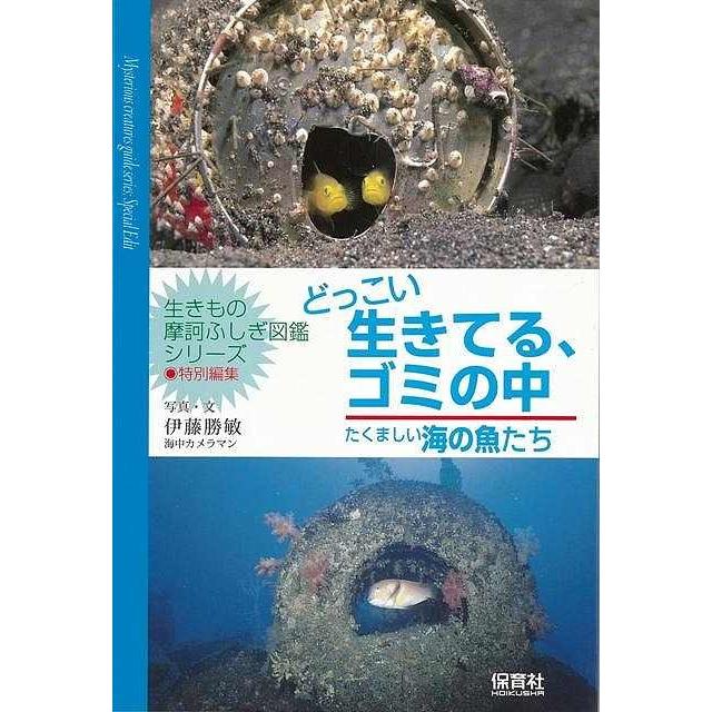 どっこい生きてる、ゴミの中　たくましい海の魚たち−生きもの摩訶ふしぎ図鑑シリーズ｜theoutletbookshop