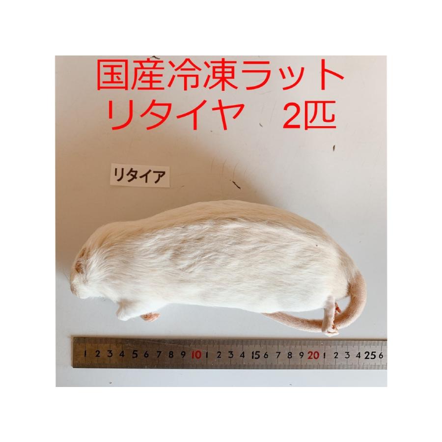 鬼蕗　国産冷凍ピンクマウスL 100匹　送料込み 鬼蕗様専用 国産冷凍ピンクマウスL 100匹 送料込み