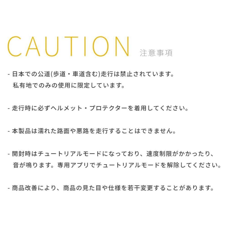 新春SALE！ Segway-Ninebot/セグウェイナインボット Ninebot Kickscooter F20A 電動キックスクーター 【YW7067842837】(25654円)