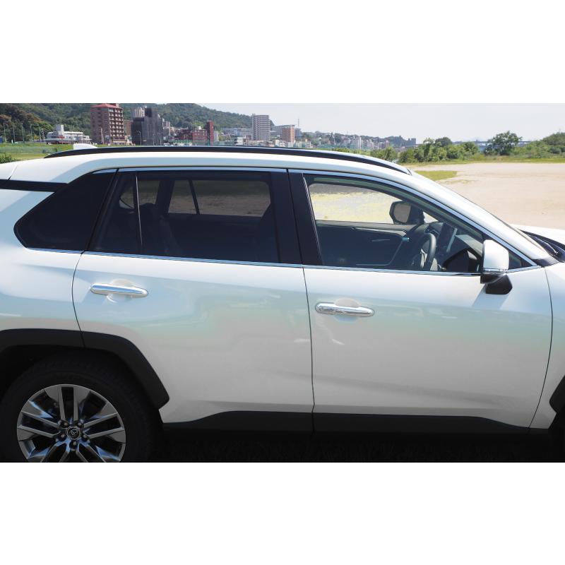 サムライプロデュース RAV4 50系 ウィンドウトリム ガーニッシュ 左右