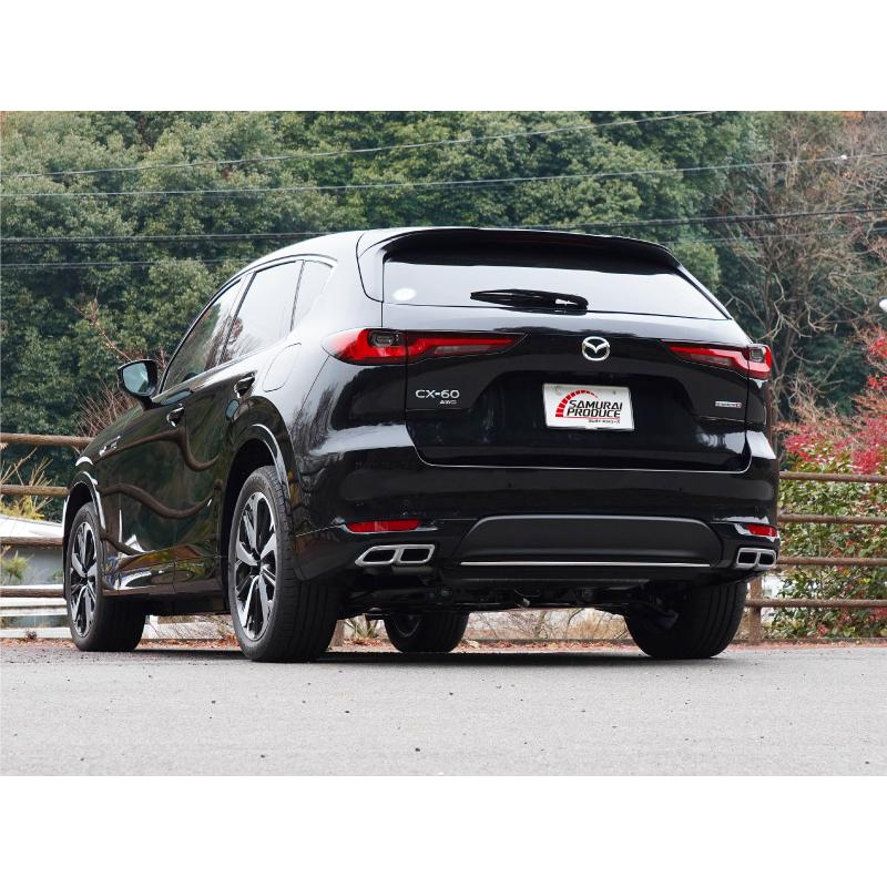 リアリガ10ページ リアリガ10ページ リアリガ10ページ ZX-10R 21-23 - RAID-ZERO