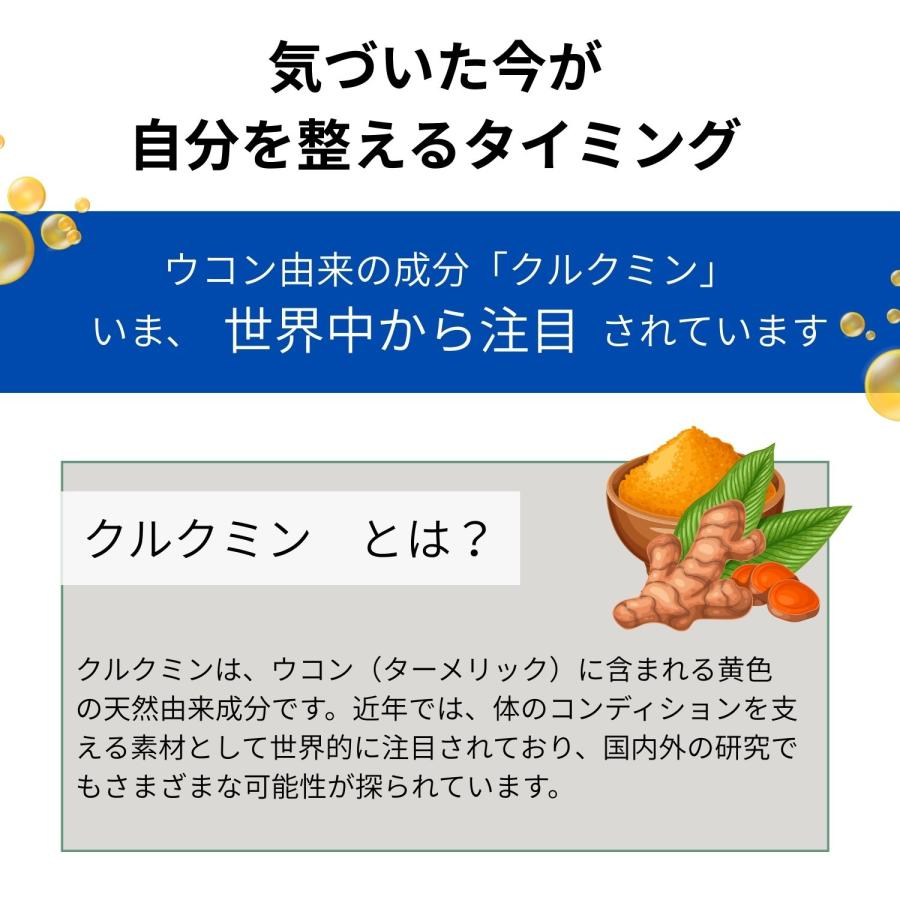 クルクルージュ 高吸収クルクミン サプリメント 62粒入5本（5カ月分