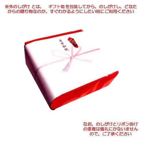 GIEN ジアン ミルフルール ディナープレート27.4cm 1643B6A4 食器