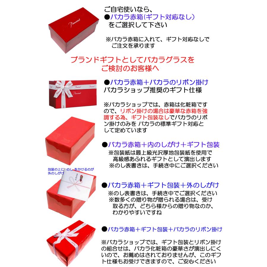 バカラ グラス  ペアセット  2024  ルテシア タンブラー 年号入  ロックグラス  結婚祝い　還暦祝い　退職祝い  記念品　名入れ可  送料無料(離島除く)｜therichcojp｜14