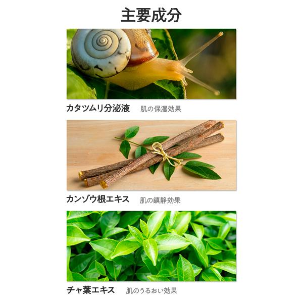 the SAEM（ザセム） 【大特価なんと42％オフ！！！】ザセム ピュア