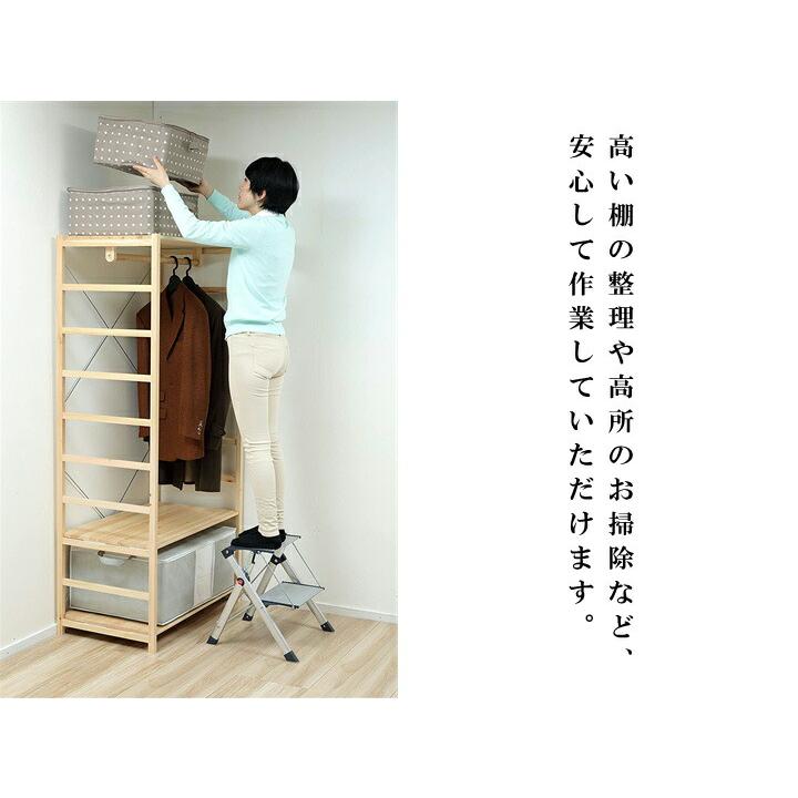 ハイロ ミニ脚立 2段 アルミ製 折りたたみ コンパクト 60092 軽量 スリム収納 耐荷重100kgの画像