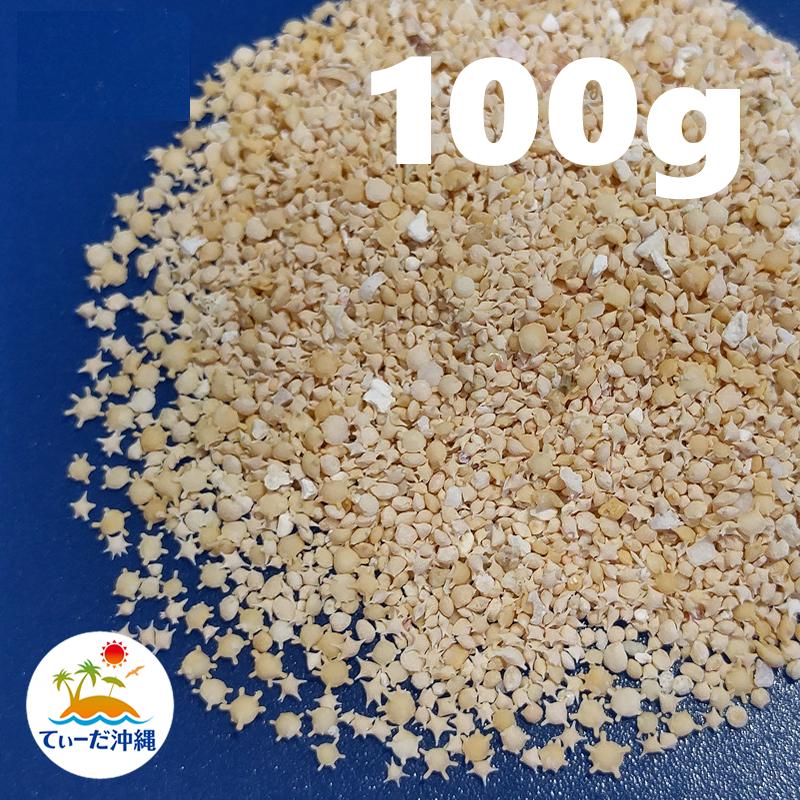 星の砂 沖縄県産 星の砂 (星砂) 100g : 沖縄特産品通販 てぃーだ沖縄 - 通販