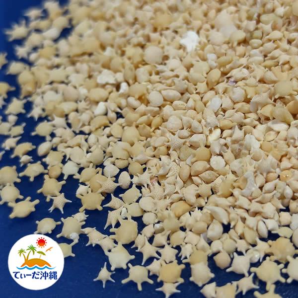 沖縄県産 星の砂 (星砂) 100g : 沖縄特産品通販 てぃーだ沖縄 - 通販
