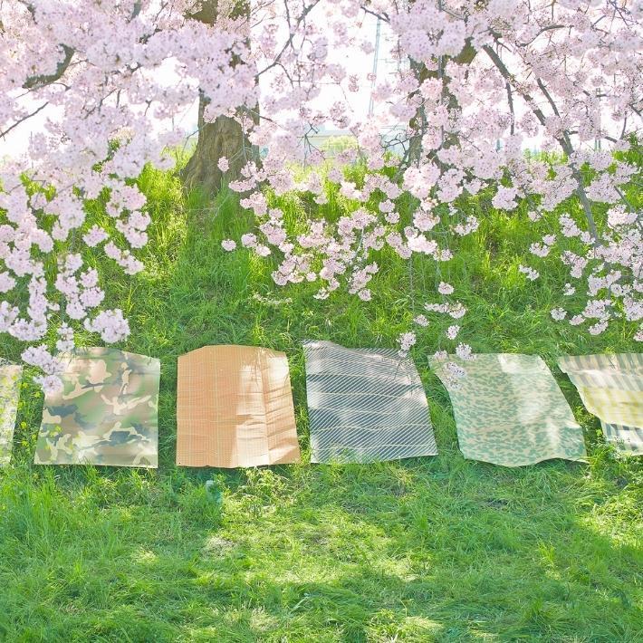 レジャーシート Lサイズ 200×110cm バーズワーズ BIRDS'WORDS CREP ピクニックラグ 軽い コンパクト おしゃれ かわいい おすすめ キャンプ 幼稚園 |  | 01