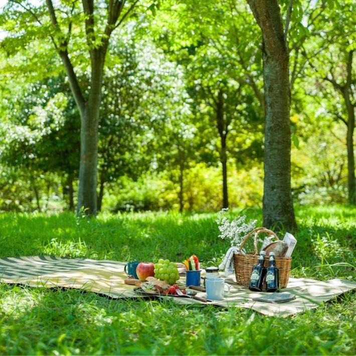 レジャーシート Lサイズ 200×110cm バーズワーズ BIRDS'WORDS CREP ピクニックラグ 軽い コンパクト おしゃれ かわいい おすすめ キャンプ 幼稚園 |  | 05