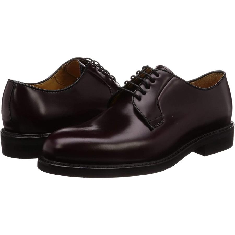 43404 essay 06 image