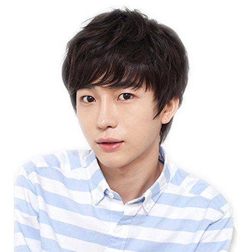 魅力的な Dreambeauty メンズ ウィッグ 男性 用 かつら ウィッグ ショート メンズ ストレート100 人毛 色 男性用フルウィッグ つ 国内最安値 Atempletonphoto Com