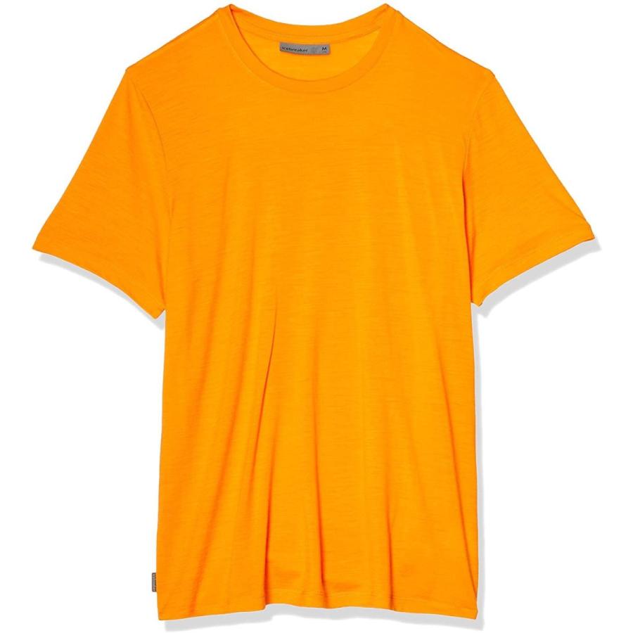 人気特価激安 アイスブレーカー Tシャツ 日本サイズl相当 M Us サン メンズ クルー ショートスリーブ テックライト Tシャツ カットソー
