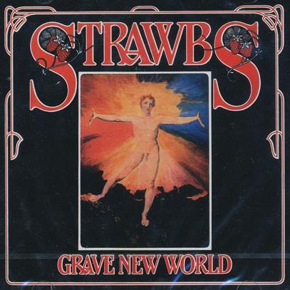 THE STRAWBS/Grave New World (1972/5th) (ストローブス/UK) | 