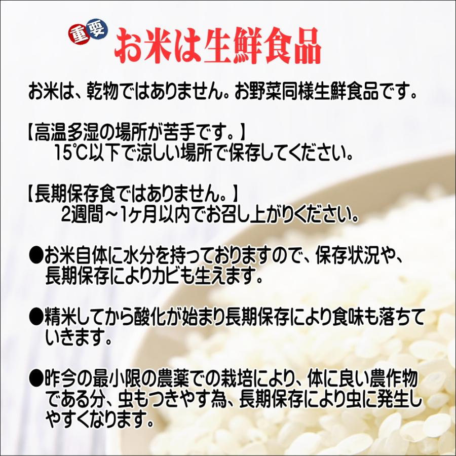 米 お米 10kg 無洗米 5kg×2袋 岩手県産ひとめぼれ 令和5年産 ご飯 コメ 送料無料｜thirdrice｜03