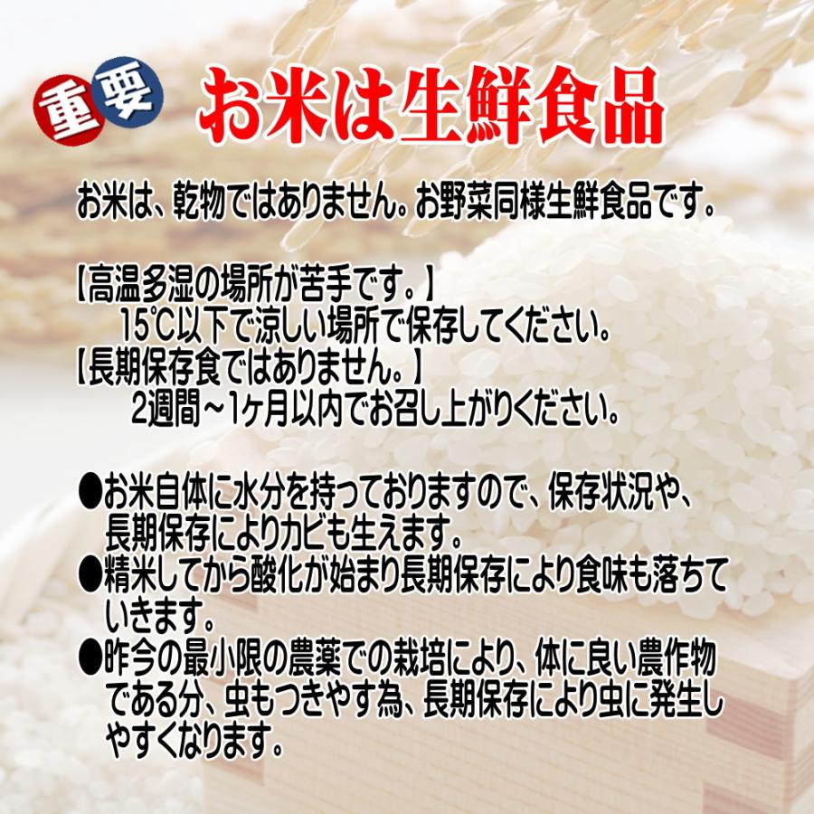 無洗米 米 10kg お米 たべごろ無洗米 5kg×2袋 岩手の米屋オリジナル コメ ご飯 送料無料｜thirdrice｜08