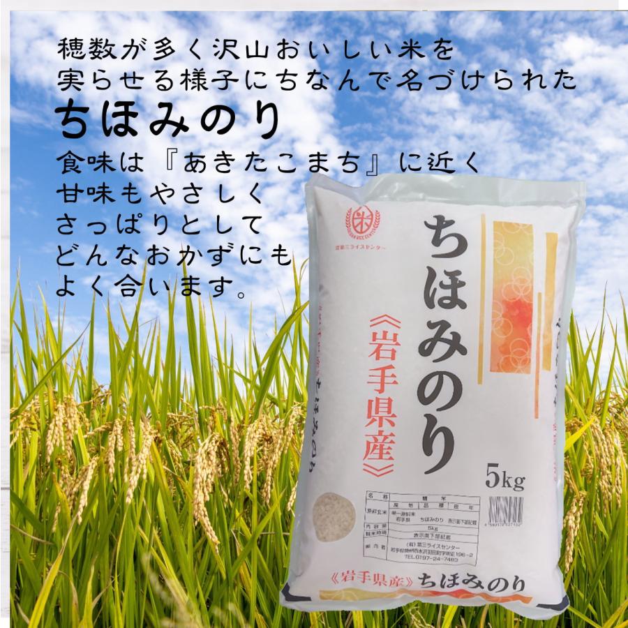 無洗米 10キロ 岩手県産 新米 無洗米 米10kg 5kg×2袋 ちほみのり無洗米 令和8年 岩手県産 送料