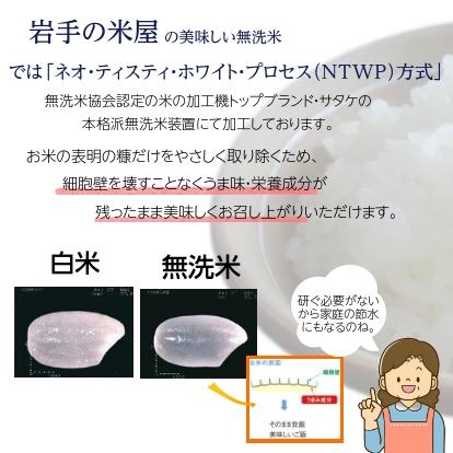 無洗米 米 銀河のしずく 2kg×4袋 岩手県産 令和7年 ご飯 ライス お米 コメ 送料無料 |  | 11