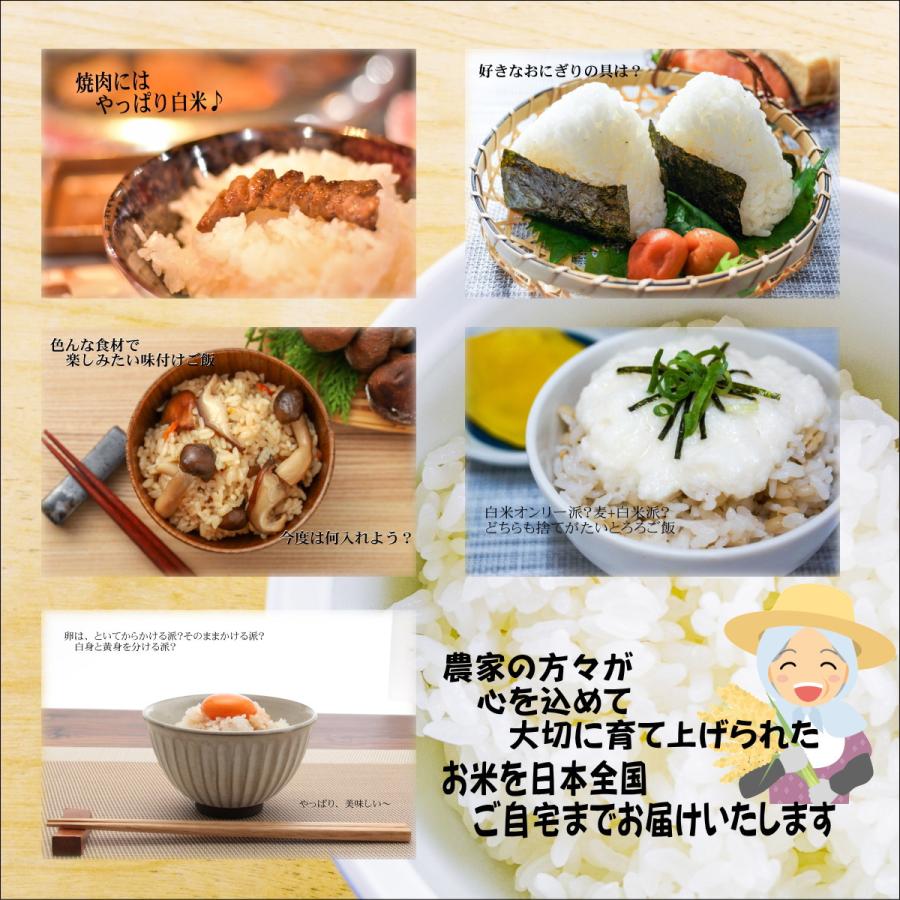 米10kg お米 10kg 白米 いちおし米 5kg×2袋 岩手の米屋オリジナル