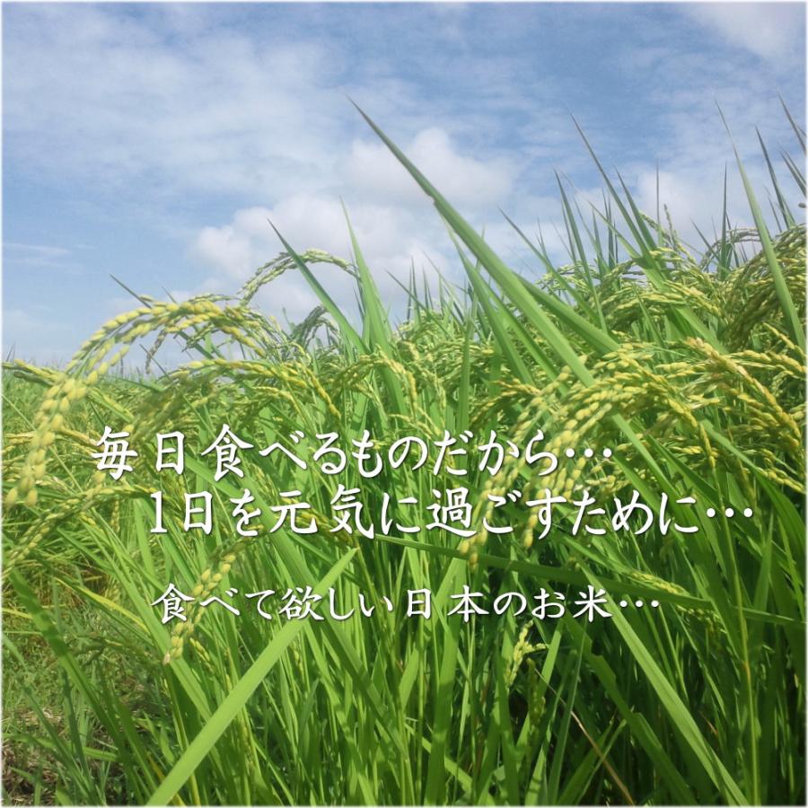 米 お米 玄米 30kg 岩手県産ひとめぼれ 令和5年産 ご飯 コメ 送料無料｜thirdrice｜03