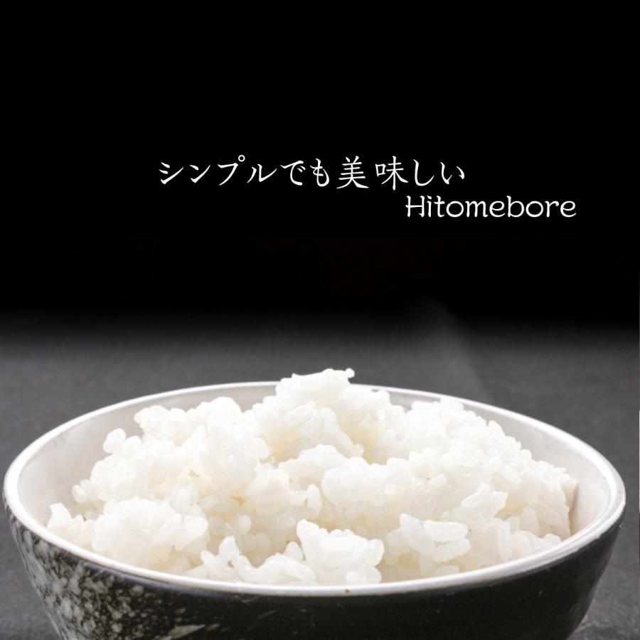 ひとめぼれ お米 10kg 令和7年産 米 5kg×2袋 10キロ 白米 岩手県産