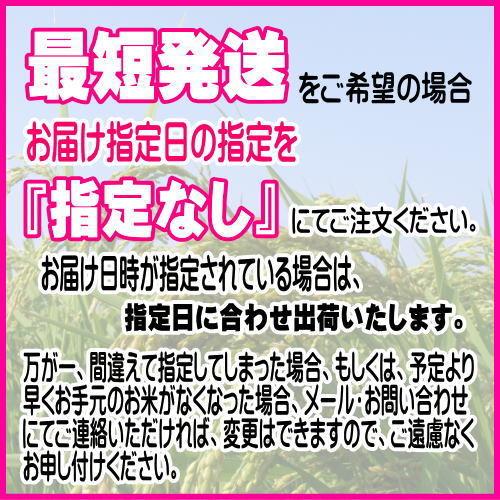 米 お米 5kg 白米 岩手県産ひとめぼれ 令和5年産 ご飯 コメ 送料無料｜thirdrice｜04