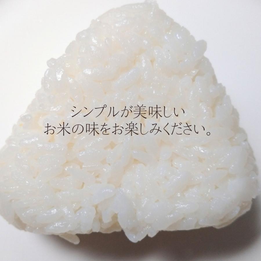 コシヒカリ 米 白米 お米 10kg 5kg×2袋 令和6年 岩手県産 送料 コシヒカリ 米 白米 お米 10kg 5kg×2袋 令和6年 岩手県産 送料