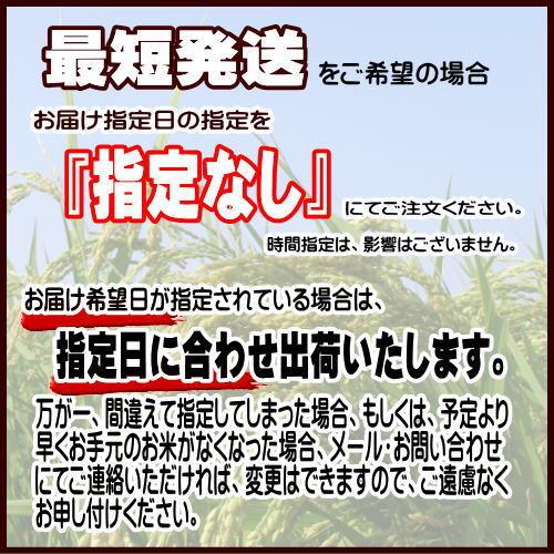ひとめぼれ 令和7年産 米 5kg×2袋 10kg 白米 岩手県奥州市産ひとめぼれ