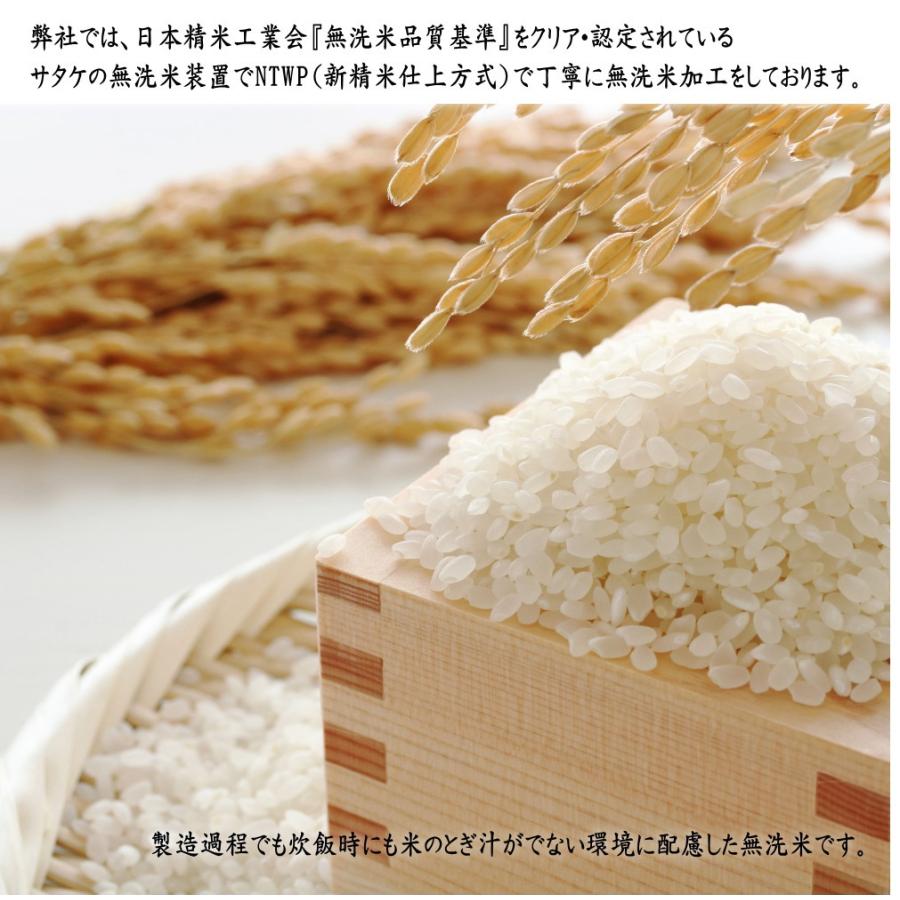 米 お米 10kg 無洗米 岩手県奥州市産ひとめぼれ 令和5年産 ご飯 コメ 送料無料｜thirdrice｜08