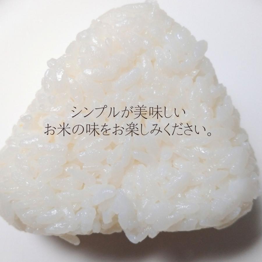 米 お米 10kg 無洗米 岩手県奥州市産ひとめぼれ 令和5年産 ご飯 コメ 送料無料｜thirdrice｜09