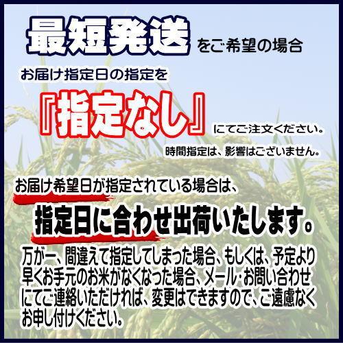 米 お米 5kg 無洗米 岩手県奥州市産ひとめぼれ 令和5年産 ご飯 コメ 送料無料｜thirdrice｜06