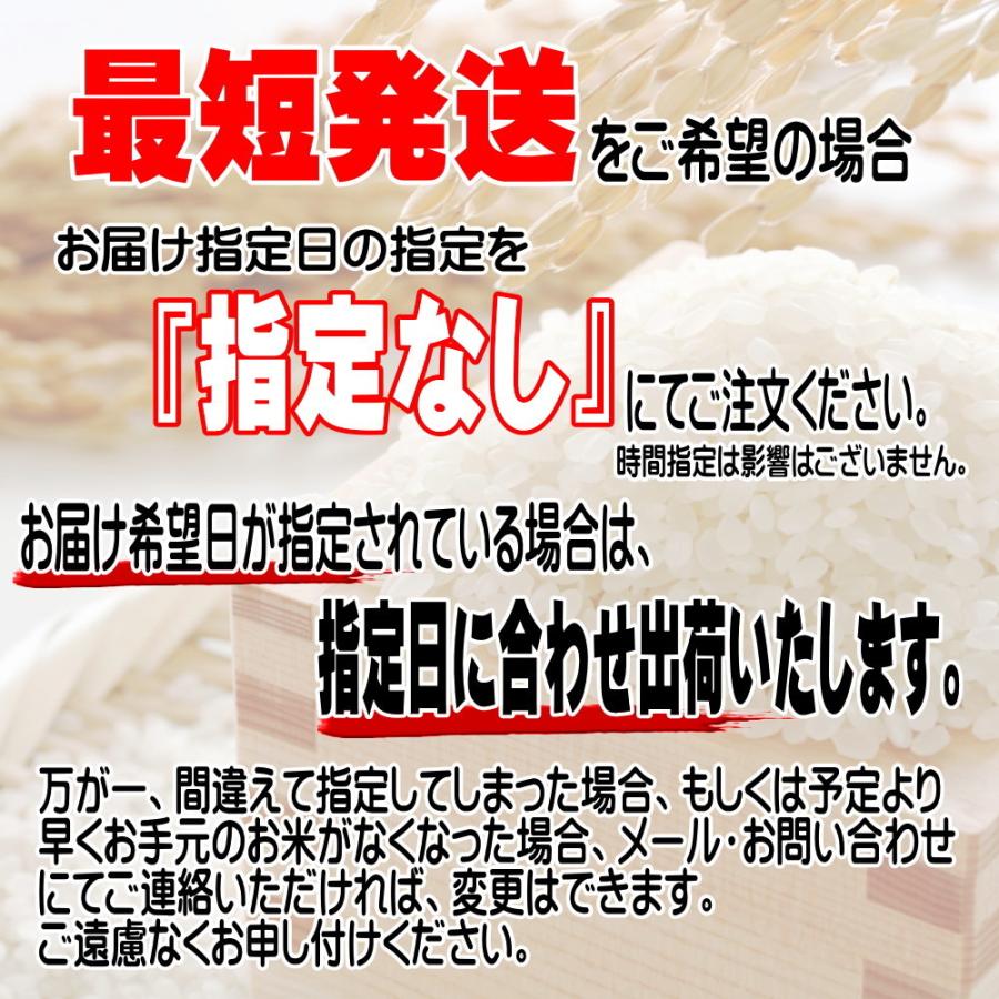 無洗米 米 お米 5kg 新 たべごろ無洗米 岩手の米屋オリジナル コメ ご飯 送料無料 |  | 01