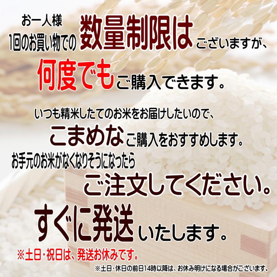 無洗米 米 お米 5kg 新 たべごろ無洗米 岩手の米屋オリジナル コメ ご飯 送料無料 |  | 04