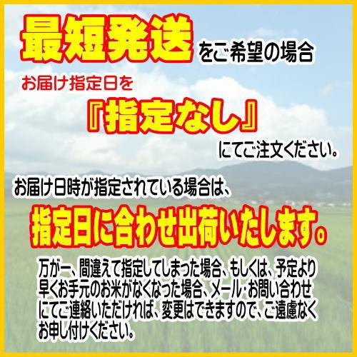 つきあかり10kg　岩手県産 令和６年産 減農薬 玄米 有機栽培 米 10kg 無洗米 お米 つきあかり 5kg×2袋 令和6年 岩手県産 送料