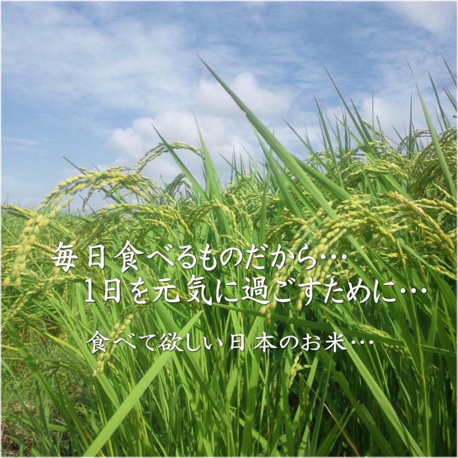 つきあかり10kg　岩手県産 令和６年産 減農薬 玄米 有機栽培 単一原料米 減農薬 有機栽培 単一原料米 令和６年産 つきあかり10kg　岩手県産 玄米