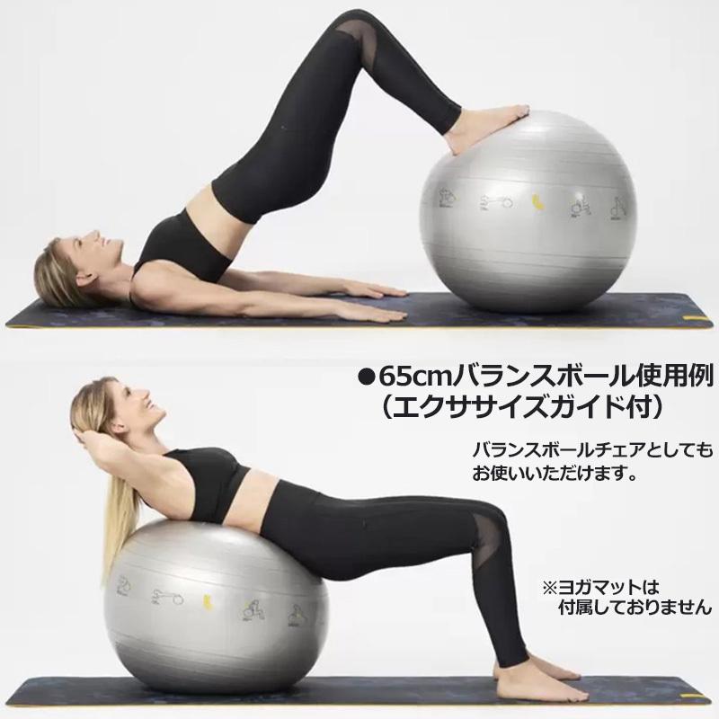 市場 ヨガボール バランスボール ストレッチボール cm ピラティスボール ミニ