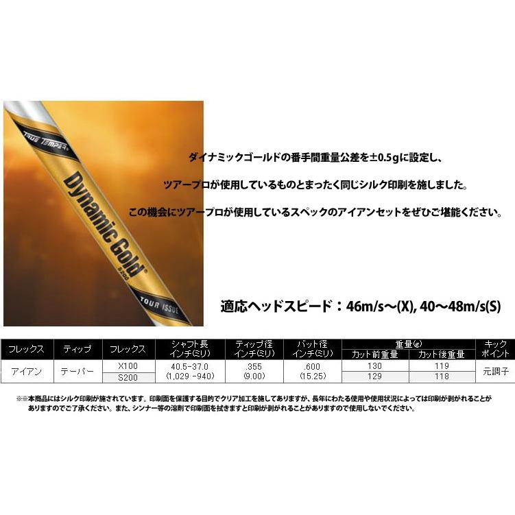 TRUE TEMPER 日本仕様 Dynamic Gold TOUR ISSUE(ダイナミックゴールド 
