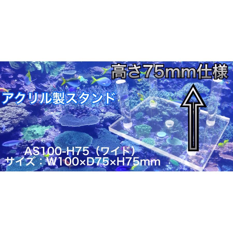 A-AS100-H75* ワイド（W100×D75×H75mm）アクリル製スタンド ライブ