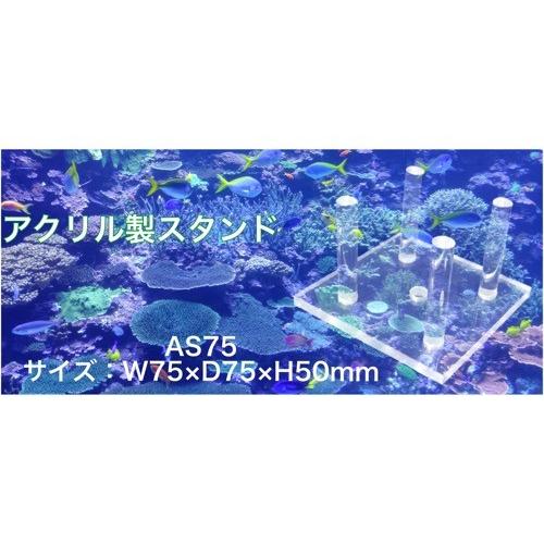 A-AS75*（W75×D75×H50mm）アクリル製スタンド ライブロックスタンド