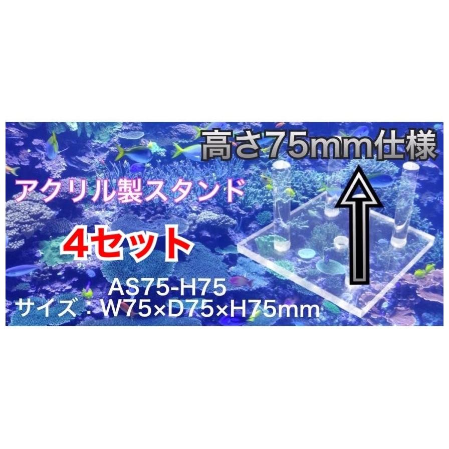 A-AS75-H75* 【4セット】（W75×D75×H75mm）アクリル製スタンド