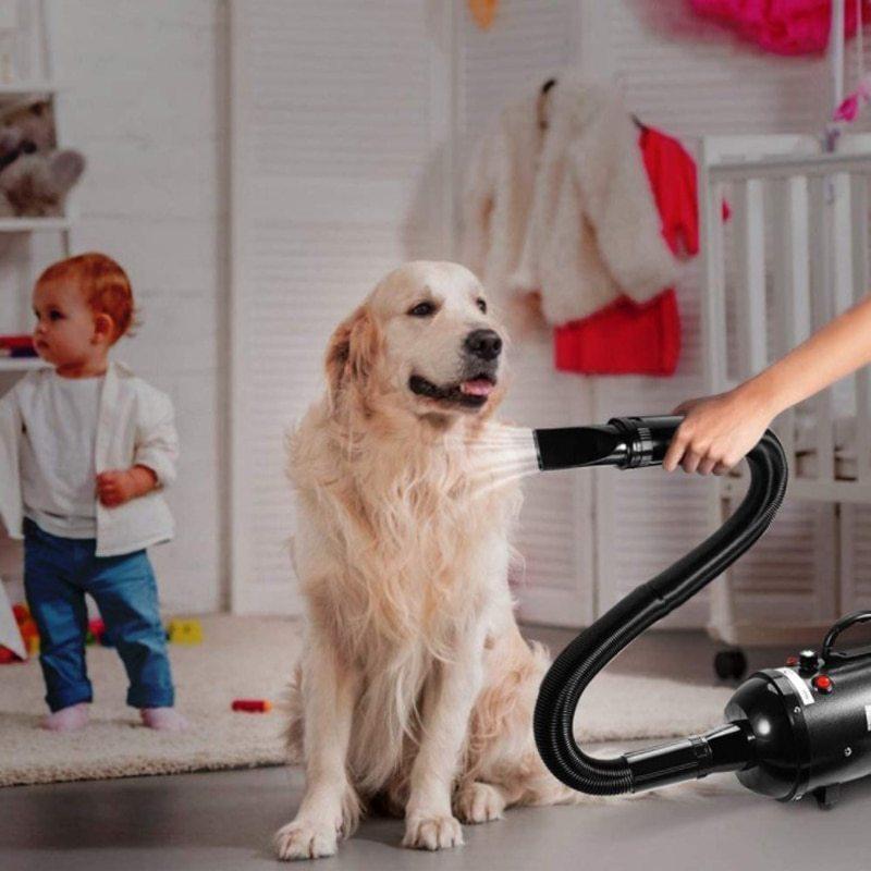 人気の 犬用ヘアドライヤー2600w ペット用 猫用 グルーミングブロワー 暖かい風 高速ブロー 小型 中型 大型の子犬用 booking.site-global.com 人気の 犬用ヘアドライヤー2600w ペット用 猫用 グルーミングブロワー 暖かい風 高速ブロー 小型 中型 大型の子犬用 booking.site-global.com