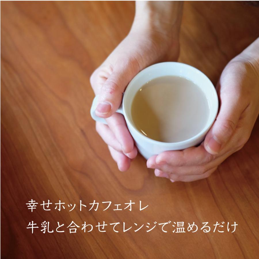 アイスコーヒーギフト１ 内祝い 御祝い ギフト などに【 送料無料 スペシャルティコーヒー お祝い コーヒー 母の日 父の日 出産内祝い 】