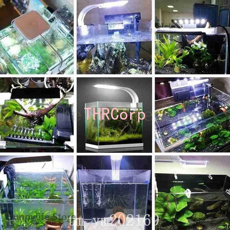 水槽照明ledライト水槽ライトledアクアリウムライトアクアリウムライト長寿命観賞魚飼育水草育成淡水海水両用led水槽ランプ Thrpa7 Thrcorp 通販 Yahoo ショッピング