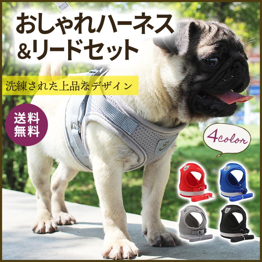 ハーネス 犬 おしゃれ リード セット 脱げない 小型犬 中型犬 大型犬 ペット用品 胴輪 ハーネスベルト｜thread