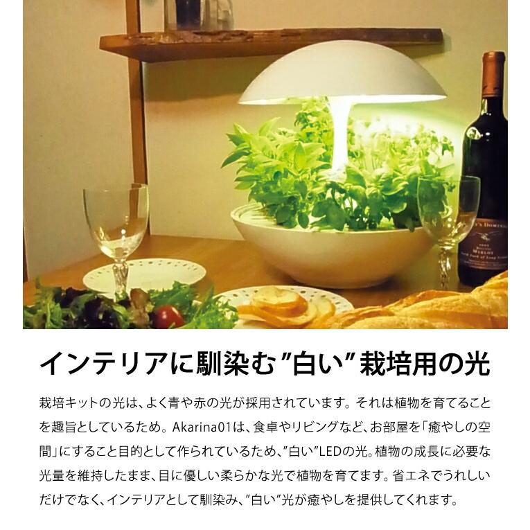 Akarina 01RN2 灯菜（アカリーナ）LED 水耕栽培 キット｜インテリア ホワイト タッチライト タイマー付  ハーブ 爆買の画像