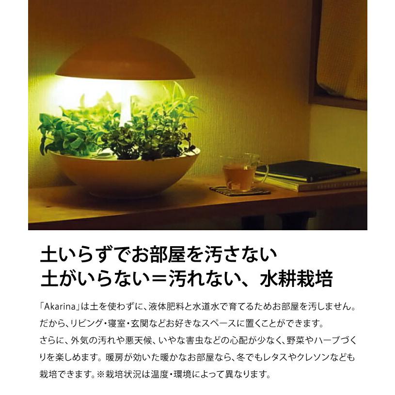 Akarina 01RN2 灯菜（アカリーナ）LED 水耕栽培 キット｜インテリア ホワイト タッチライト タイマー付  ハーブ 爆買の画像