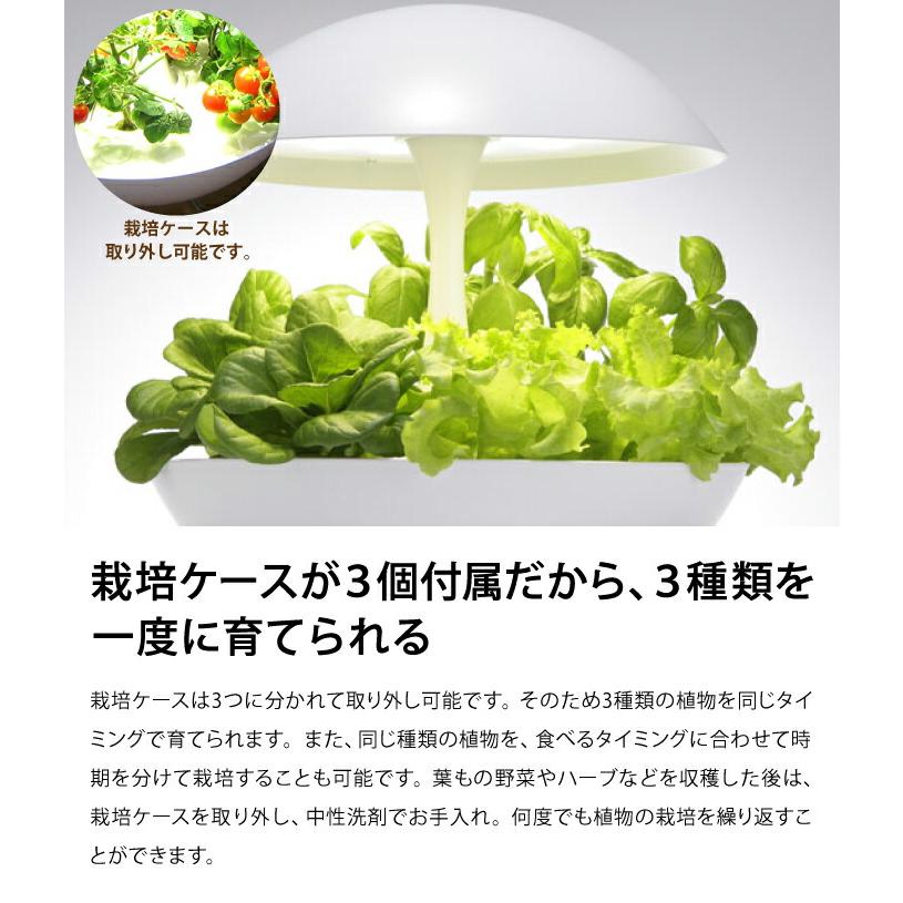 Akarina 01RN2 灯菜（アカリーナ）LED 水耕栽培 キット｜インテリア ホワイト タッチライト タイマー付  ハーブ 爆買の画像