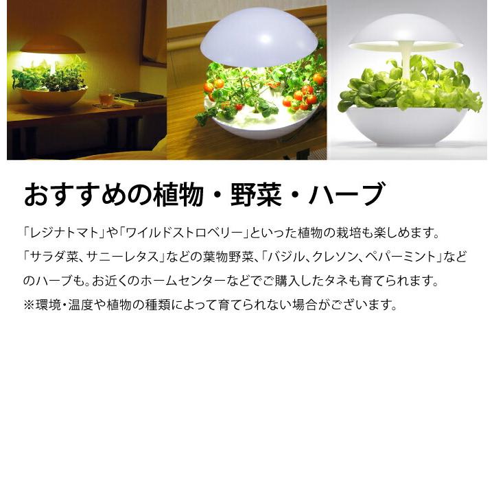 Akarina 01RN2 灯菜（アカリーナ）LED 水耕栽培 キット｜インテリア ホワイト タッチライト タイマー付  ハーブ 爆買の画像